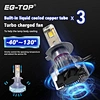 auto bulbs 12v 55w h7